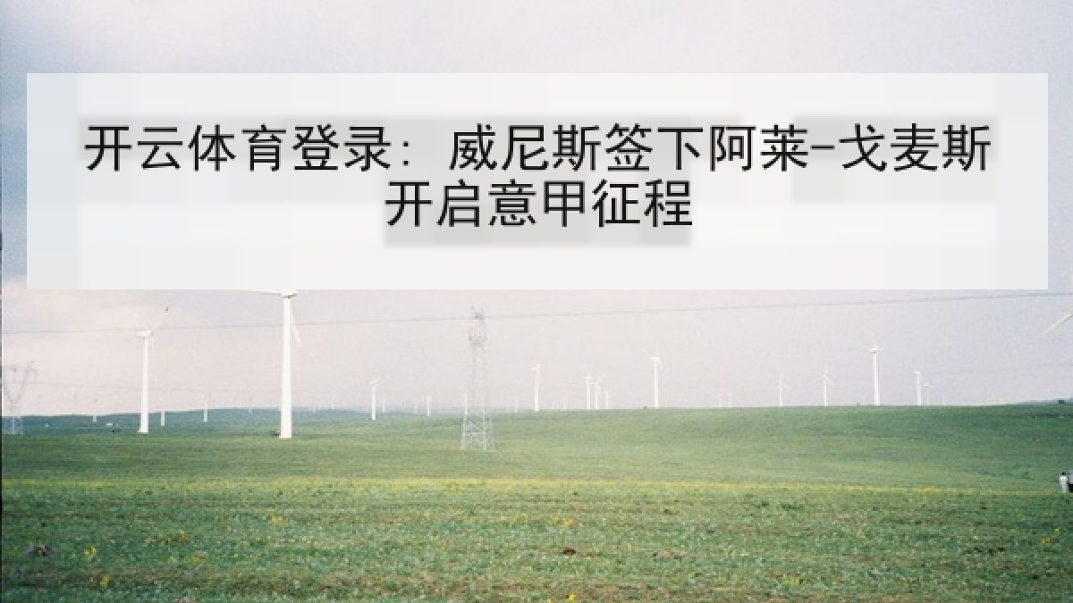 开云体育登录: 威尼斯签下阿莱-戈麦斯开启意甲征程